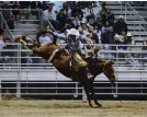 treadwayrodeo2004007.jpg