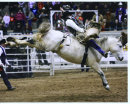 treadwayrodeo2004016.jpg