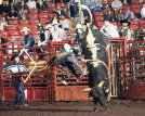 treadwayrodeo2004020.jpg